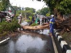 Lagi Bawa Penumpang, Driver Ojol Tewas Tertimpa Pohon Saat Hujan Deras