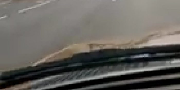 Nyelonong Masuk Tol,  Pengendara Sepeda Motor Nyungsep Nyaris Tewas