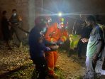 Aksi Heroik Petugas Damkar dan SatPol PP, Saat Evakuasi Ular dengan Panjang 5 Meter