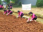 Bhayangkari Jakarta Barat Bercocok Tanam Guna Tingkatkan Ketahanan Pangan