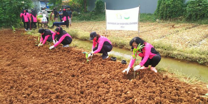 Bhayangkari Jakarta Barat Bercocok Tanam Guna Tingkatkan Ketahanan Pangan