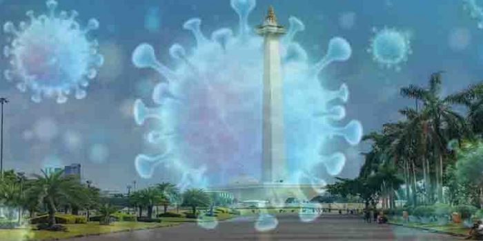 MOnas