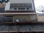 Maraknya Mafia Pelanggaran Bangunan di Jakarta Barat, ini Kata Ketum LSM Gagak