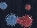 Mutasi Virus SARS-CoV-2 Mengancam Efektivitas Vaksin Covid-19