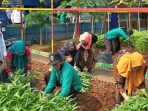 Poktan GSG 07 Kembangan Utara Panen Sayuran