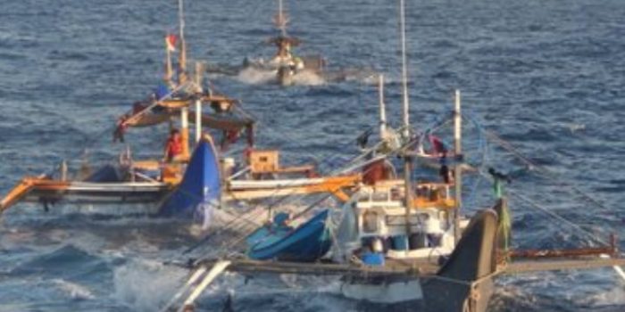 Pemerintah Tegaskan Tak Berikan Izin Penangkapan Ikan untuk Kapal Asing
