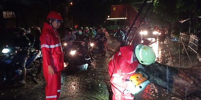 Pohon Tumbang, Jalan Ringroud Cengkareng Terjadi Kemacetan