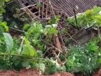 BPBD Masih Cari Puluhan Korban Tanah Longsor di Nganjuk