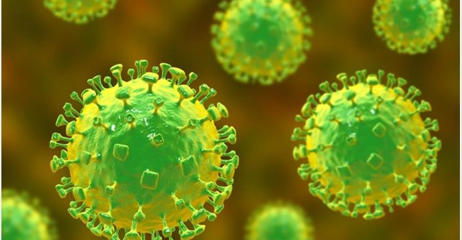Nipah virus