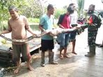 Ular Sanca Berukuran 5 Meter Berhasil Diamankan Warga