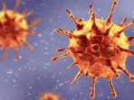 Mutasi Virus SARS-CoV-2 B.1.1.7  di Temukan di Indonesia