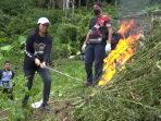 Satres Narkoba Polres Jakbar Temukan dan Musnahkan Belasan Hektar Ladang Ganja di Mandailing Natal