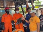 Petugas Pemadam Kebakaran Berhasil Evakuasi Satwa Liar