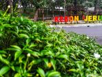 Asal Usul Nama Kawasan Kebon Jeruk di Jakarta Barat