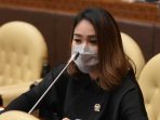 DPR Apresiasi Program Lahan Tanpa Bakar