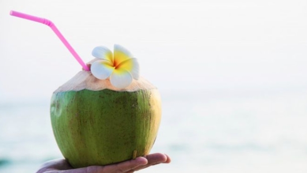 Tingkatkan Kekebalan Tubuh dengan Cara Simpel, Tambahkan Madu Saat Minum Air Kelapa