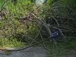 Pohon Tumbang di Kawasan Perumahan Vila Meruya, Kembangan