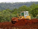 Spekulan Tanah Masih Bermain di Atas Lahan HGU PT MPM