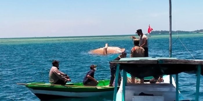 Satu Korban KM Elang Laut Ditemukan Tim SAR