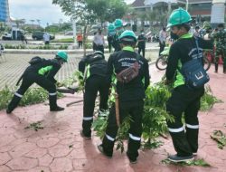 Pemkot Jakbar Siagakan 230 Personel Tangani Pohon Tumbang