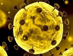 Waspada ! Kenali Gejala Awal Terpapar Virus Covid-19 Varian Omicron
