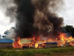 Breaking News! Teroris KKB Buat Ulah, Bakar Perusahaan Kayu di Maybrat Papua