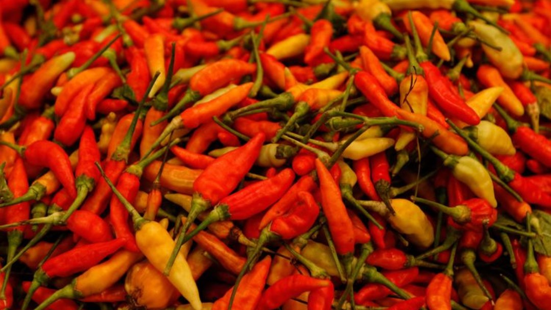 Harga Pangan di Jakarta Hari Ini, Cabai Rawit Merah Tembus Rp 84.377 Per Kg 1 IMG 20211218 100307