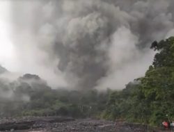 Gunung Semeru Erupsi, Warga Berlarian Selamatkan Diri