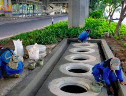 Soal Sumur Resapan yang Dihentikan DPRD, Ini Kata Wagub DKI