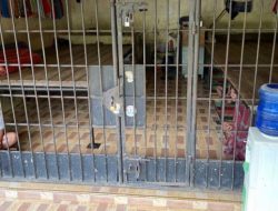 Selain Dugaan Korupsi, Bupati Langkat Bisa Terjerat Pidana Lain Terkait Adanya Kerangkeng Manusia di Rumahnya