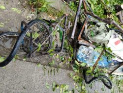 Pohon Tumbang Menimpa Tukang Rongsokan di Kawasan Parung Jaya