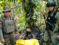 Satu DPO Teroris MIT Poso Berhasil Ditangkap Satgas Madago Raya