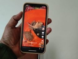 Bahasan Nitizen di TikTok Soal Bakso Daging Tikus di Karawang