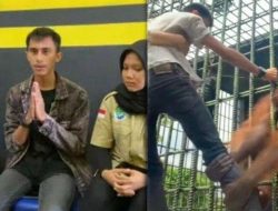 Kaki Pengunjung Kebon Binatang Ditarik Orang Utan