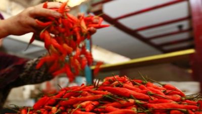 Harga Cabai di Pasar Meruya Utara Capai 120.000 Per Kilogram