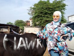 Angel Lelga Beli Hewan Kurban Langsung, Mau Pastikan Pilihannya Sehat dan Bersertifikat