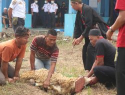 Idul Adha 2022, Kir Kedaung Kali Angke Salurkan Bantuan 4 Ekor Hewan Kurban