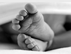 Mayat Bayi Dalam Kardus Ditemukan di Pintu Tol Kebon Jeruk, Polisi Kejar Pelaku