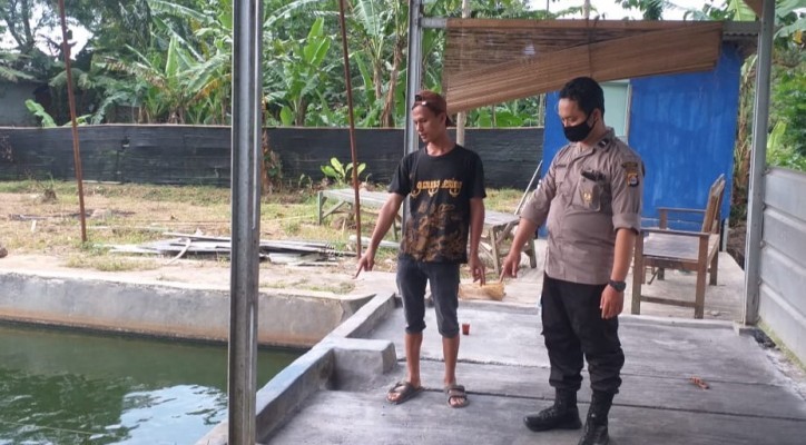 Pemuda