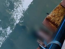 Jasad Bayi Ditemukan Mengambang di Kali Krukut, Polisi Buru Pelaku