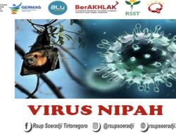Waspada Virus Nipah, Berikut Gejala dan Pencegahannya