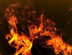 Suami di Jakarta Selatan Nekat Bakar Isri Hidup-hidup Lantaran Cemburu Karena ini