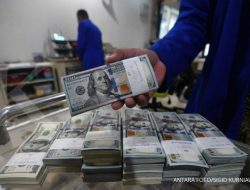 Utang Luar Negeri Swasta Mengalami Kontraksi pada November 2023, Begini Kata Ekonom