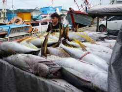 Sistem Pascaproduksi PIT Tingkatkan PNBP SDA Perikanan 30% di 2024