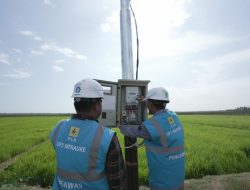 Dukung Tranformasi Pertanian Modern, _Electrifying Agriculture_ PLN Raih 53.539 Pelanggan Baru di Tahun 2024