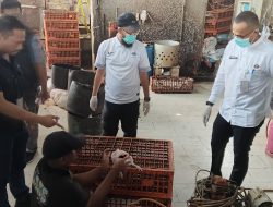 Jelang Ramadan, Ayam Gelonggongan Beredar di Pasar Kebayoran Lama