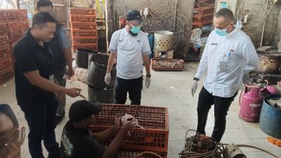 Jelang Ramadan, Ayam Gelonggongan Beredar di Pasar Kebayoran Lama