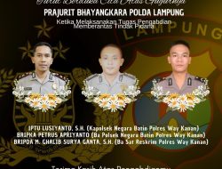 Grebek Judi Sambung Ayam, Tiga Anggota Polisi Tewas Tertembak