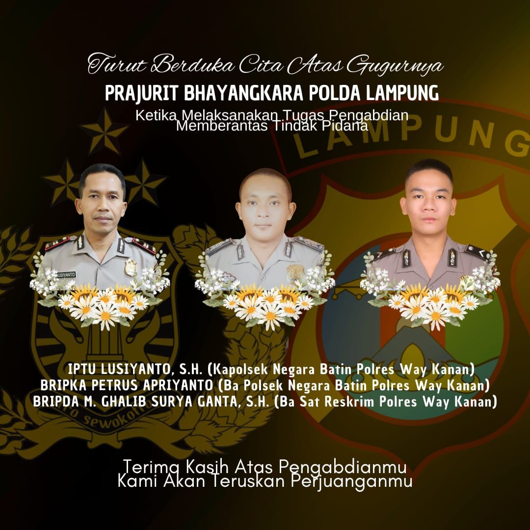 IMG 20250317 WA0010