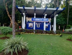 Inovasi Layanan BRI Drive Thru: Transaksi Mudah dan Cepat Tanpa Antri